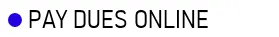 payduesonline.png